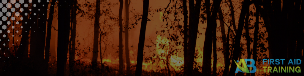 Australian Bushfire Safety