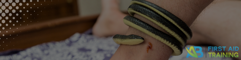 Dealing with Snake Bites in Australia