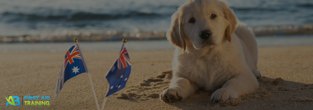 Beach summer australia