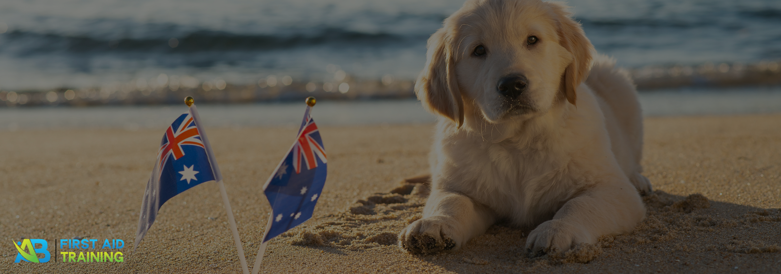 Beach summer australia
