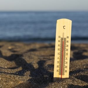 Cool Heads Prevail: First Aid for Managing Heat-Related Illnesses
