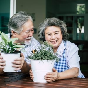 Elderly couples talking together and plant a trees in pots.